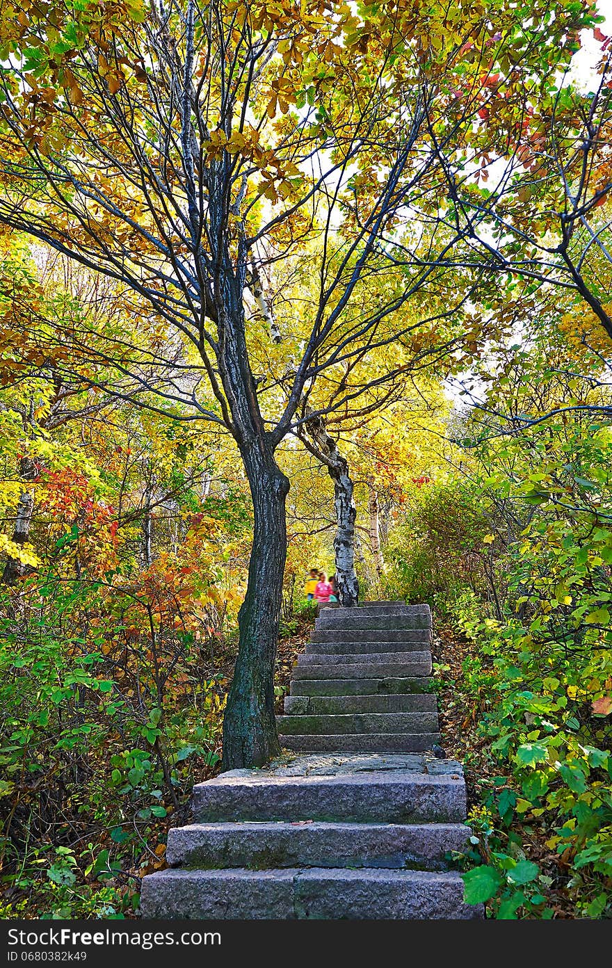 The Stone Steps Of Autumn Zu Mountain