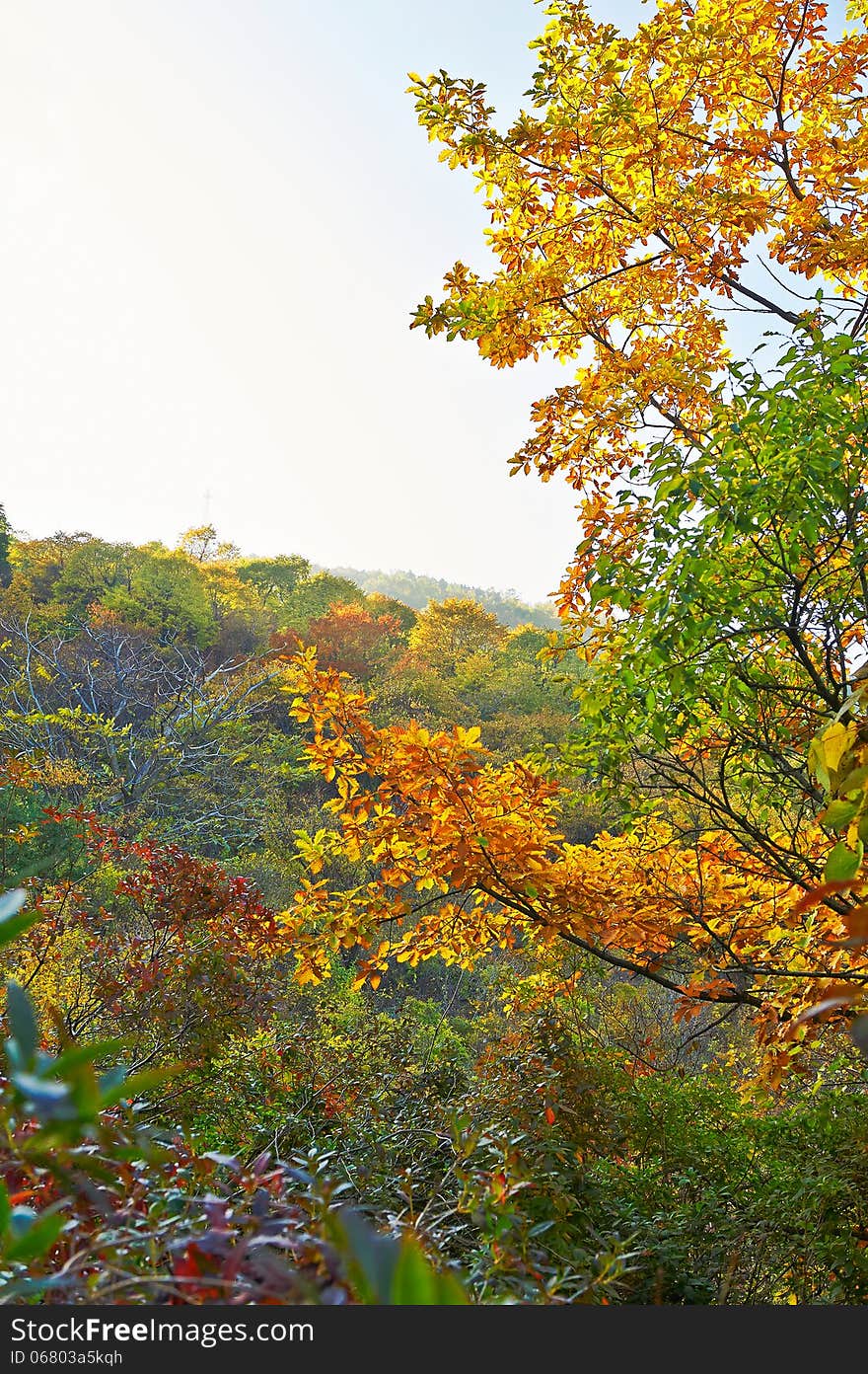 The photo taken in China's Hebei province qinhuangdao city,Zu mountain scenic spot.The time is October 3, 2013. The photo taken in China's Hebei province qinhuangdao city,Zu mountain scenic spot.The time is October 3, 2013.