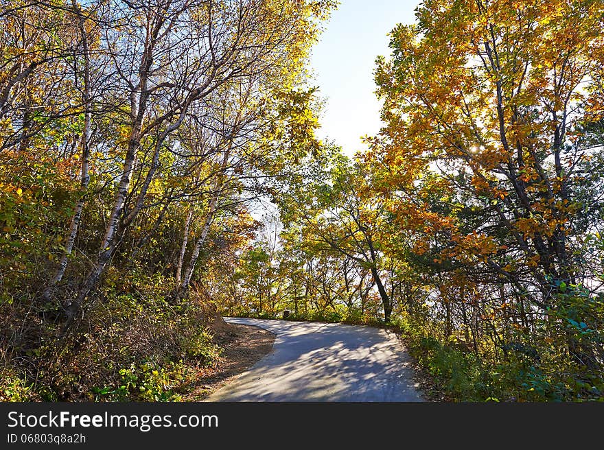 The autumn trees sunset of Zu mountain