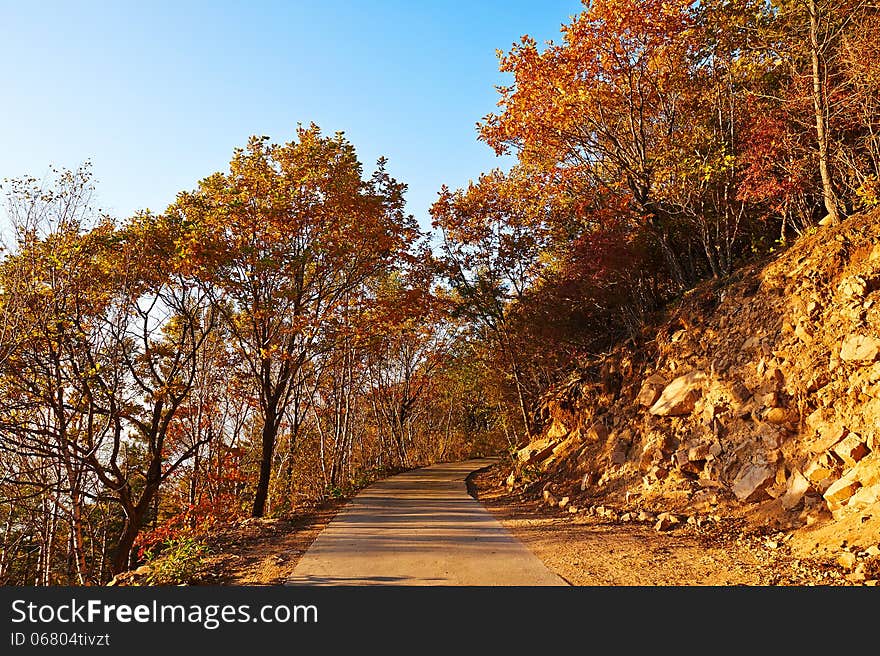 The peaceful path and autumn trees sunset of Zu mountain