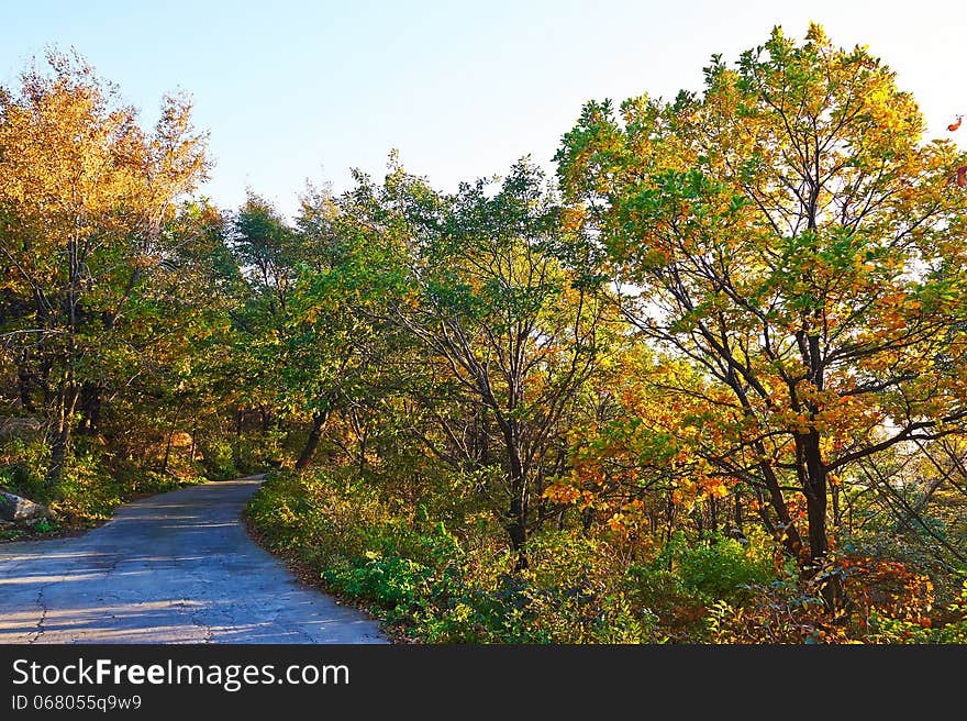 The sequestered autumn forest sunset of Zu mountain