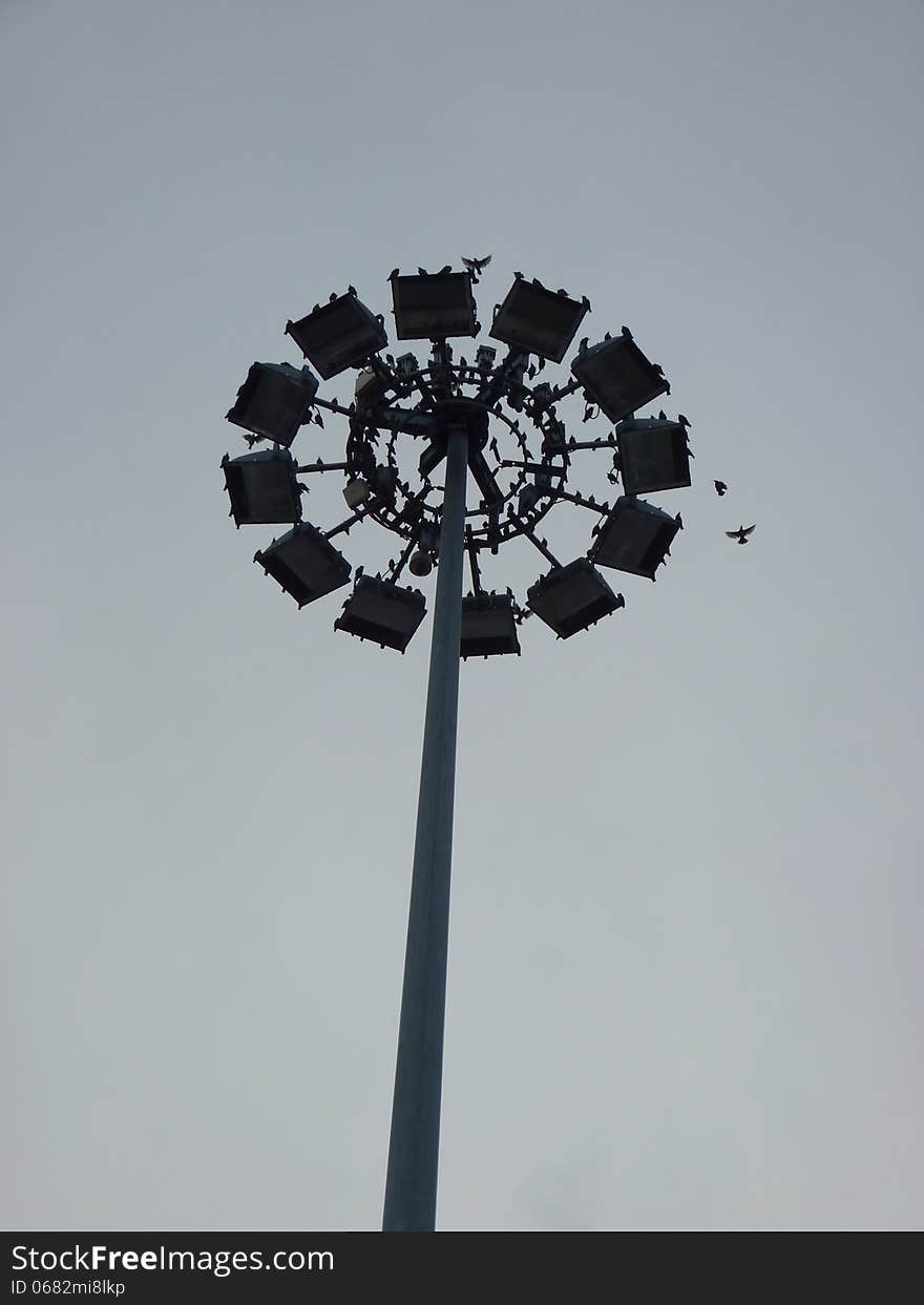 A flock of birds on a light pillar