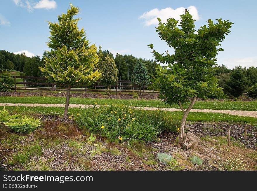 Two green trees