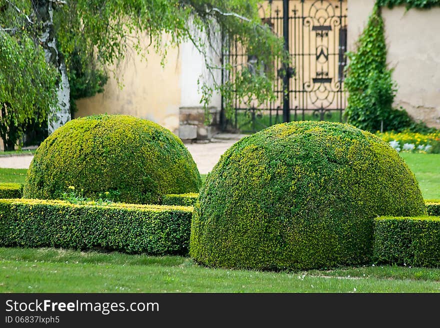 Green bush in castle garden