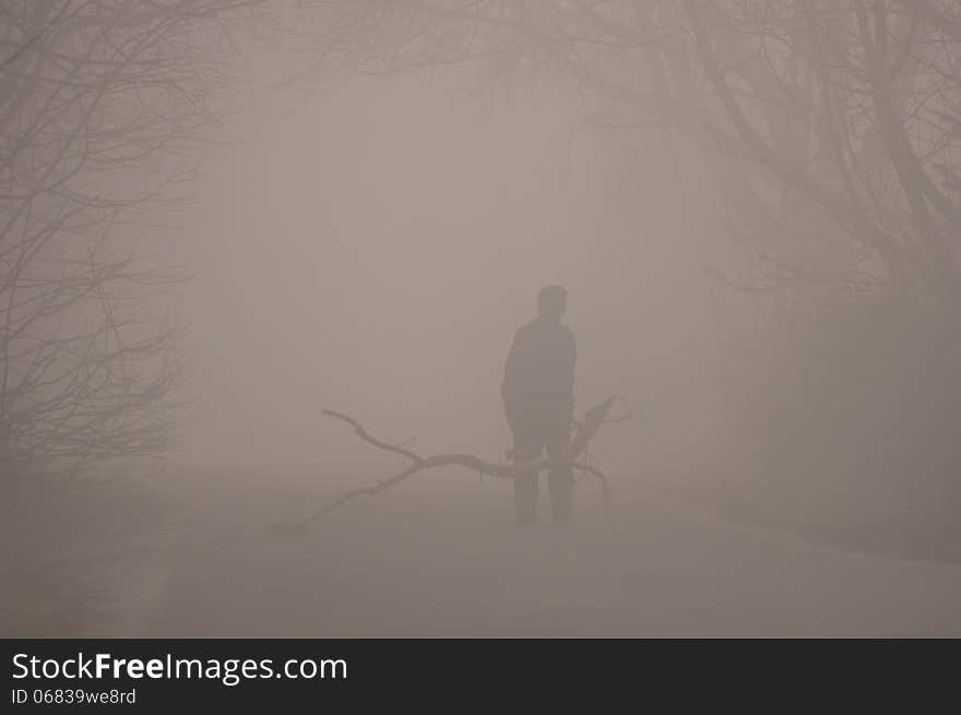 The man pulling the branch vanishing in fog