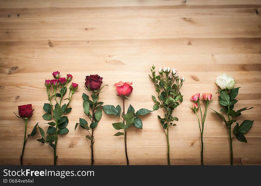 Different  roses on wooden background