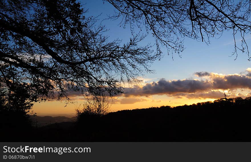 Backlight landscape