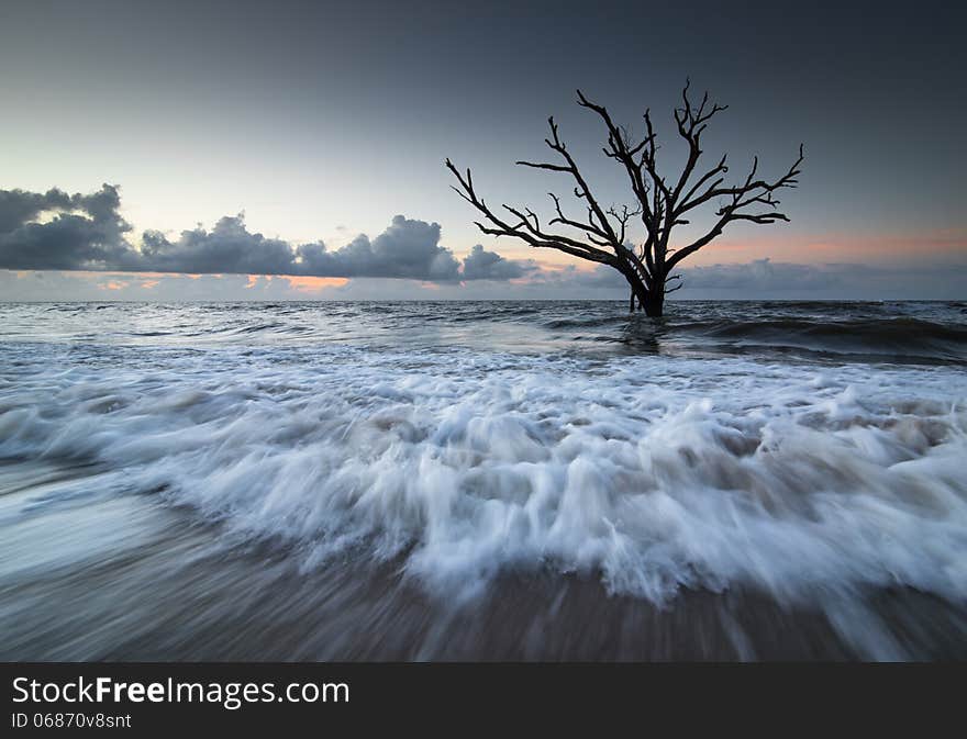 High Tide Rushing towards shore at Botany Bay Beach on Edisto Island. A Skeleton tree sits isoliated in the ocean as a reminder of where land once occupied the area. High Tide Rushing towards shore at Botany Bay Beach on Edisto Island. A Skeleton tree sits isoliated in the ocean as a reminder of where land once occupied the area.