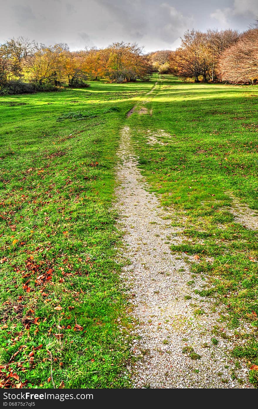 Path through green meadow leading to autumn forest. Path through green meadow leading to autumn forest