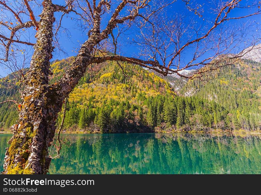 Jiuzhaigou Valley Scenic and Historic Interest Area, Sichuan, China