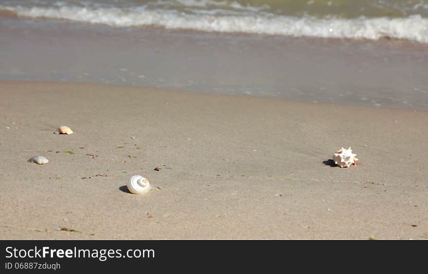 Beach. Place for your advertising