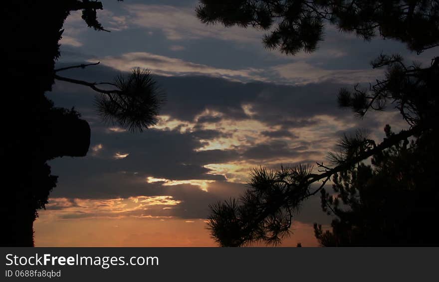 Beautiful sky at sunset through the branches of pine. Beautiful sky at sunset through the branches of pine