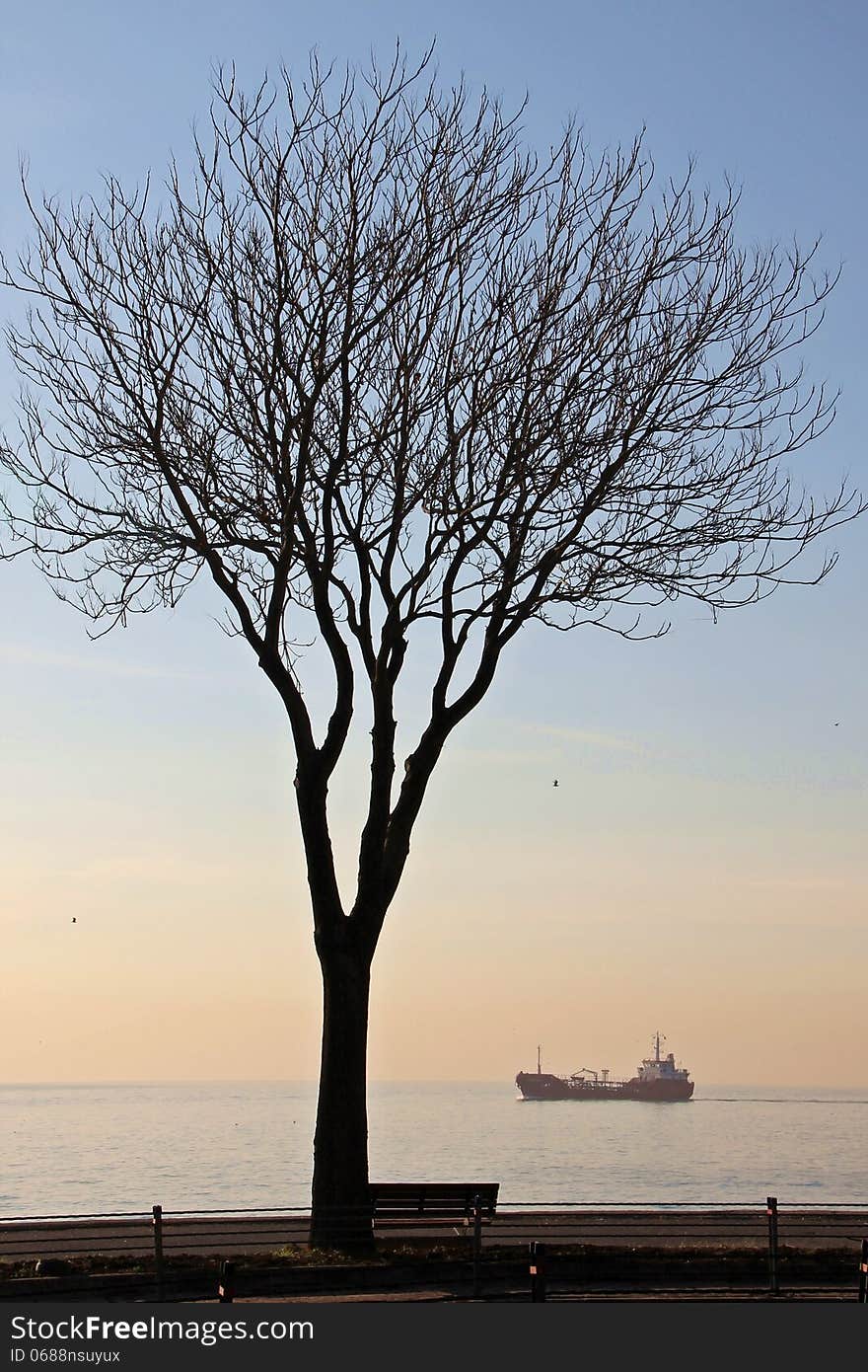 Ship and tree at Marmara Sea Istanbul