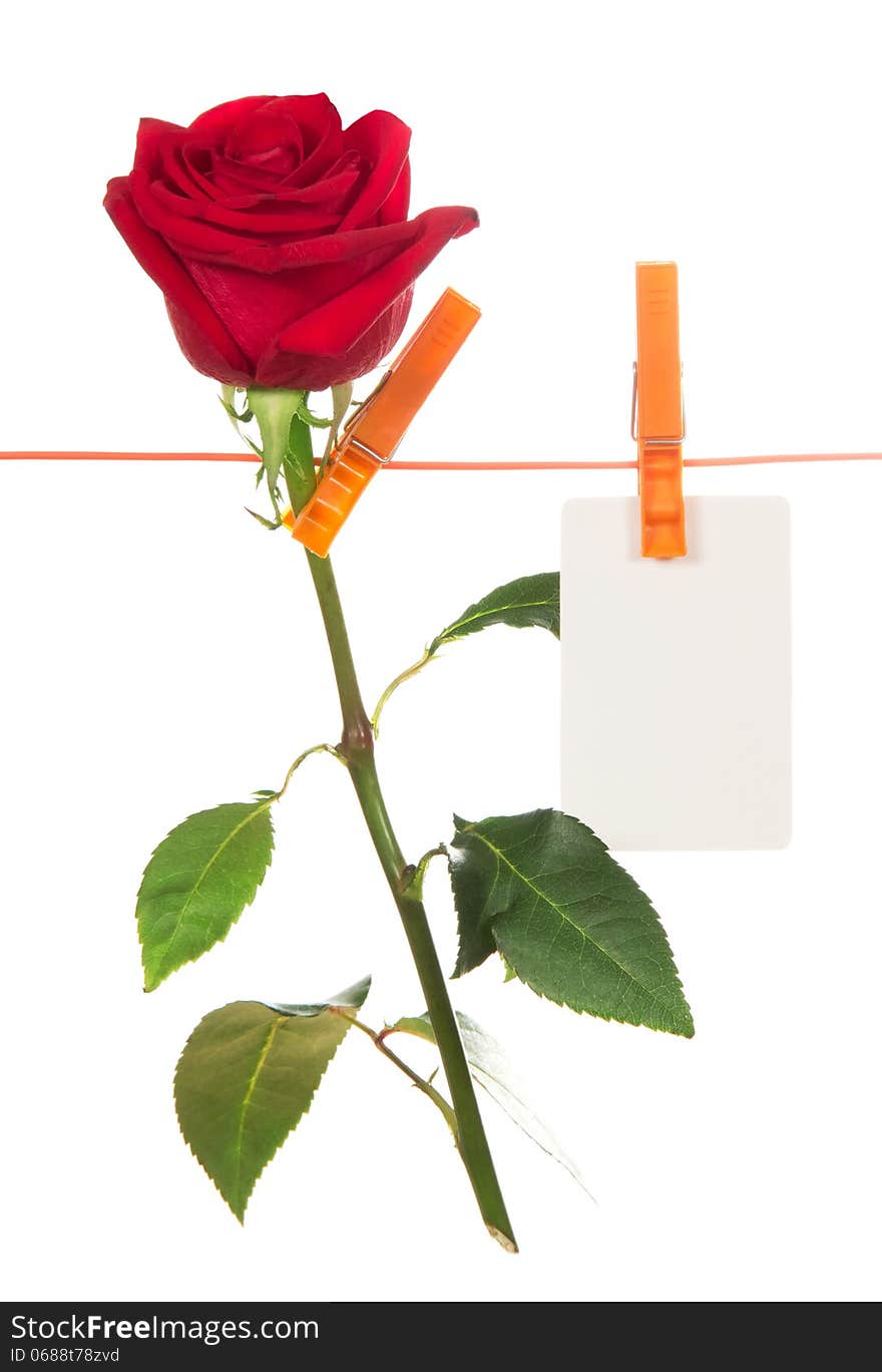 The rose and card hang on a linen rope