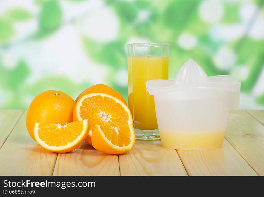 Orange slices, glass and juice extractor against foliage