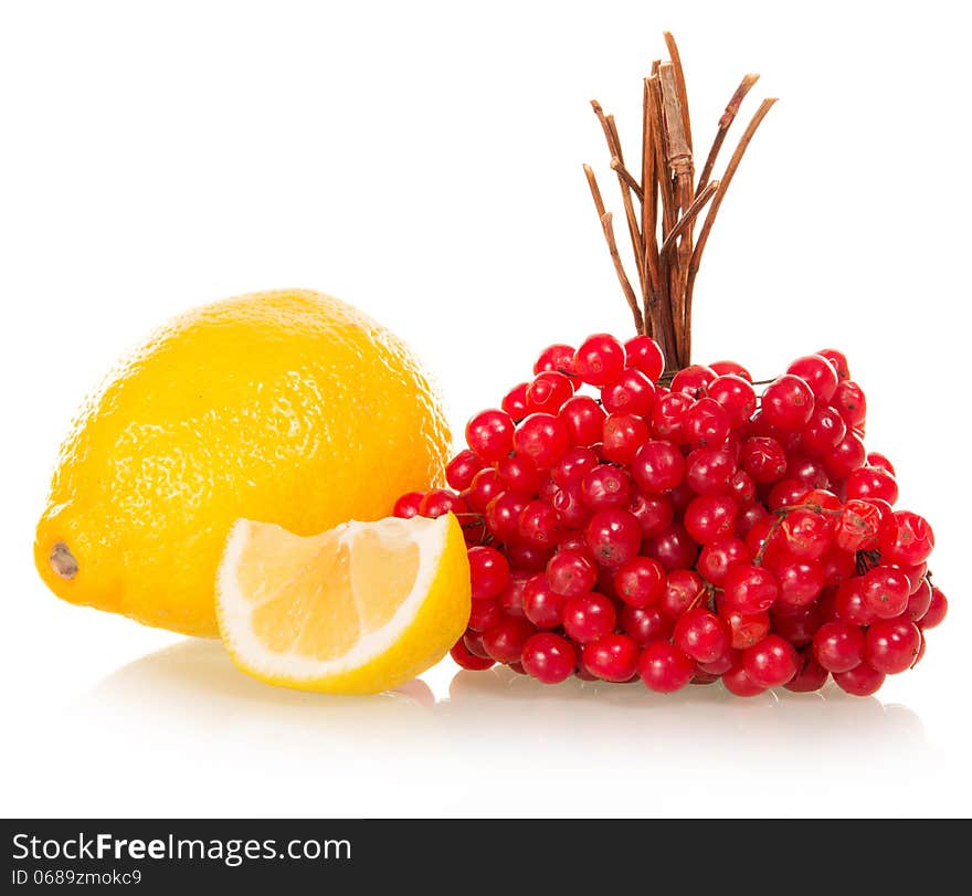 Lemon and mountain ash cluster isolated on the white