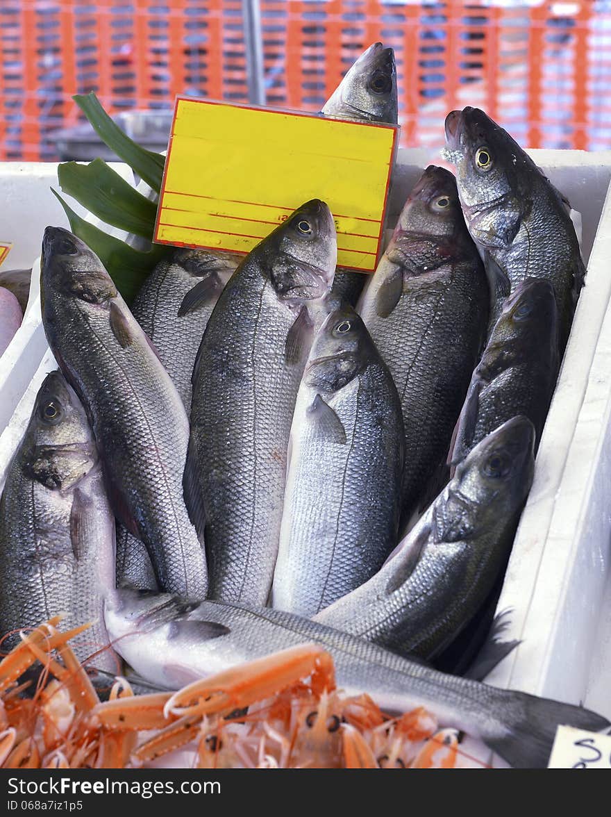 Seabass fish in shop on the counter. Seabass fish in shop on the counter