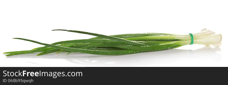 Fresh green onions