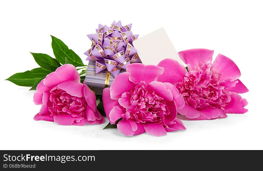 Pink peonies, the gift box decorated with a ribbon, and the empty card, isolated on white. Pink peonies, the gift box decorated with a ribbon, and the empty card, isolated on white