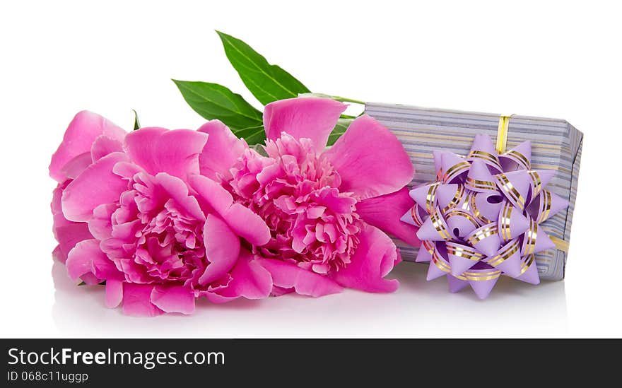 Beautiful pink peonies and the striped gift box