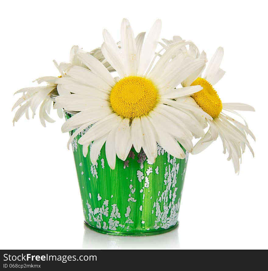 Bouquet of camomiles in the children s bucket