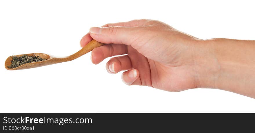 Wooden spoon with green tea, in the female hand