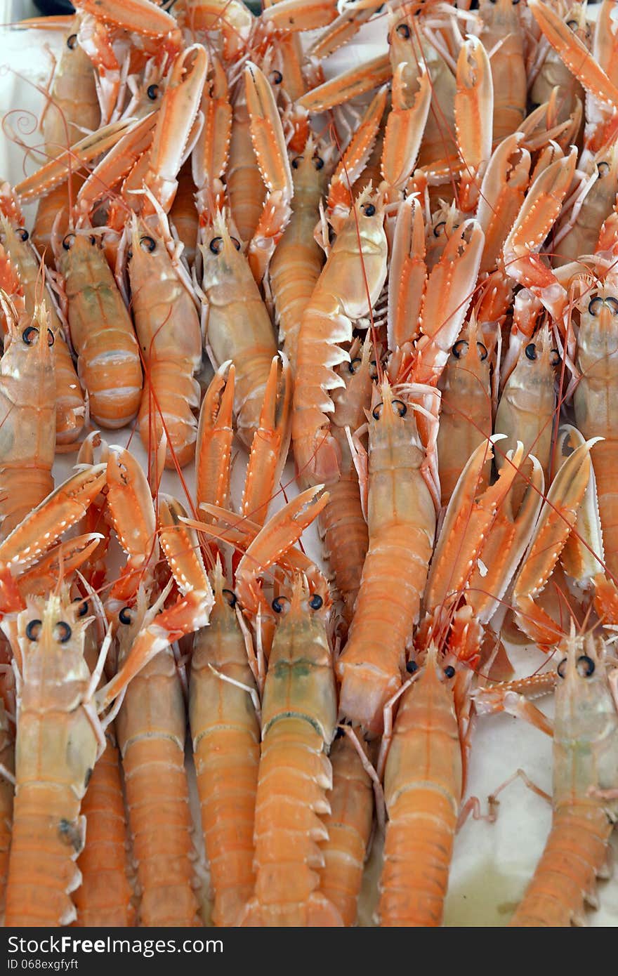 Fresh scampi for sale at a market