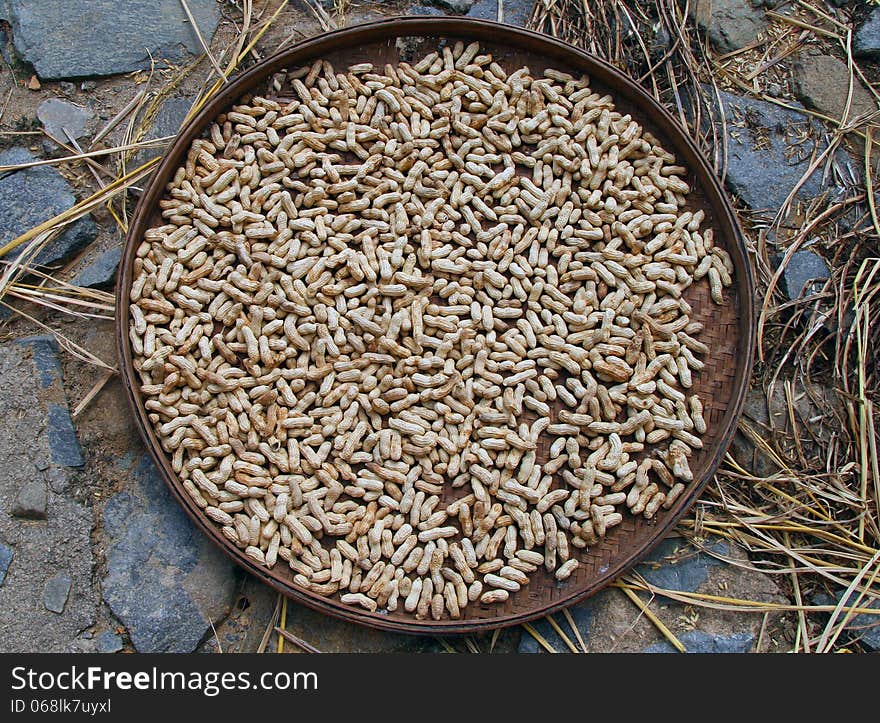 Peanut drying on a wicker tray on the ground. Peanut drying on a wicker tray on the ground