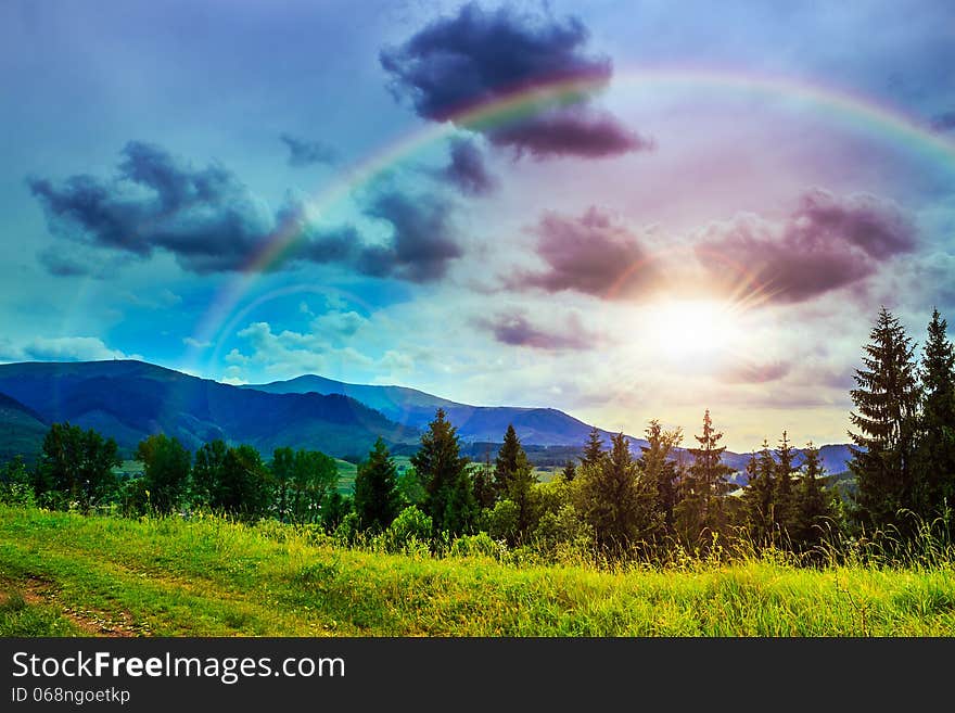 Valley near forest on a steep mountain slope after the rain in evening mood