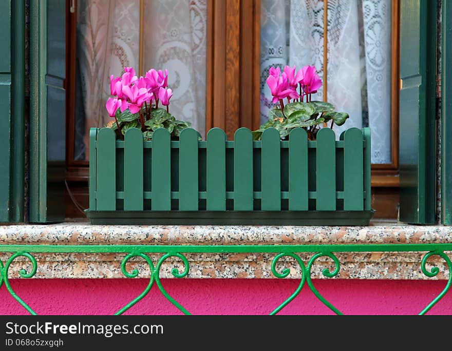 Pink flowers on the windowsill