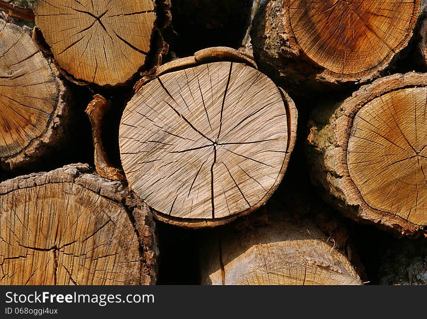 Close up of logs of wood. Close up of logs of wood