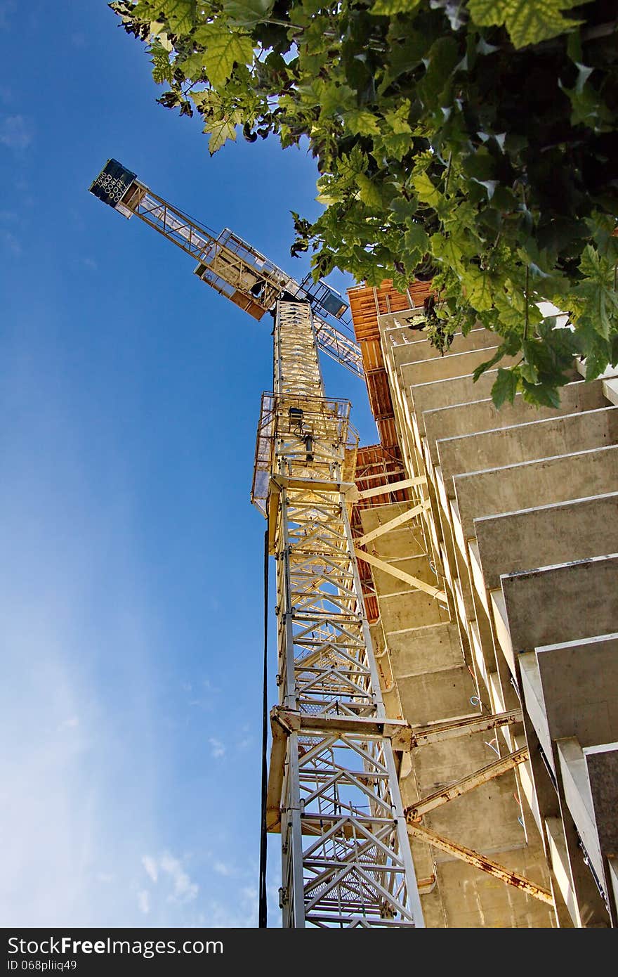 Construction of a new skyscraper, tall crane and green tree. Construction of a new skyscraper, tall crane and green tree