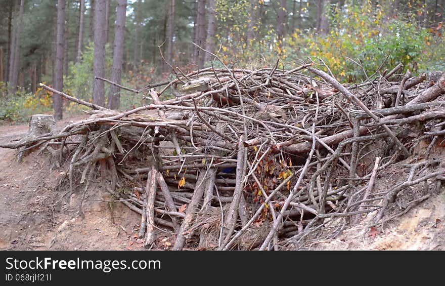 Kid building shanty in a forest