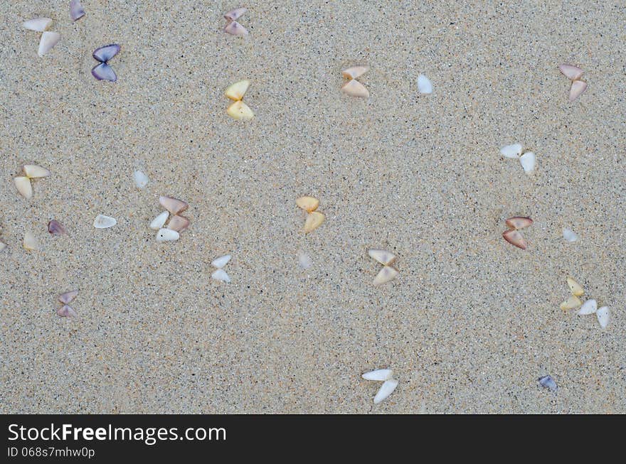 Wet beach sand with seashells