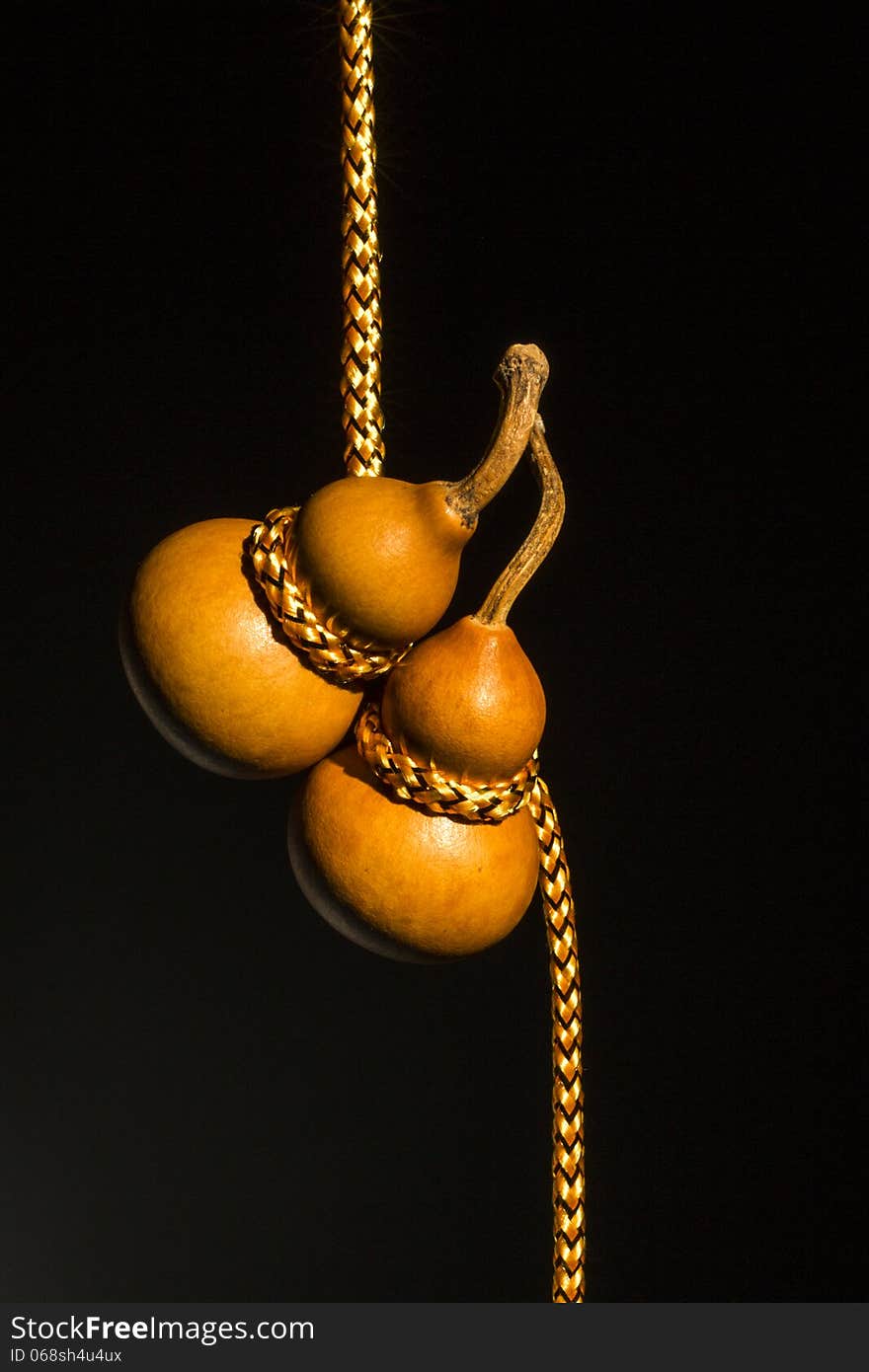 two bottle gourds with golden rope together