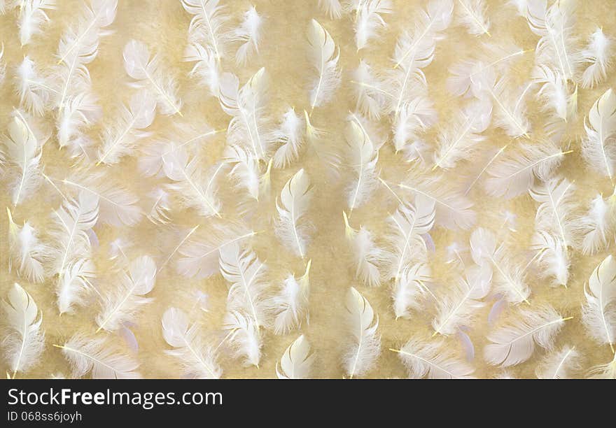 Feathers on the carpet, distributed for the background or texture design. Feathers on the carpet, distributed for the background or texture design