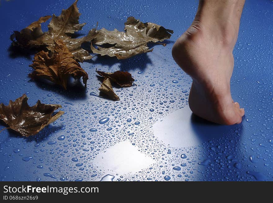 Foot and leaves