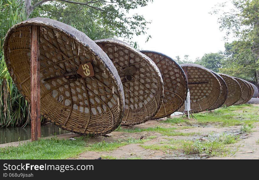 Series of Coracles standing in a row. Series of Coracles standing in a row