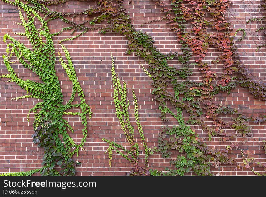 Brown brick wall with plants