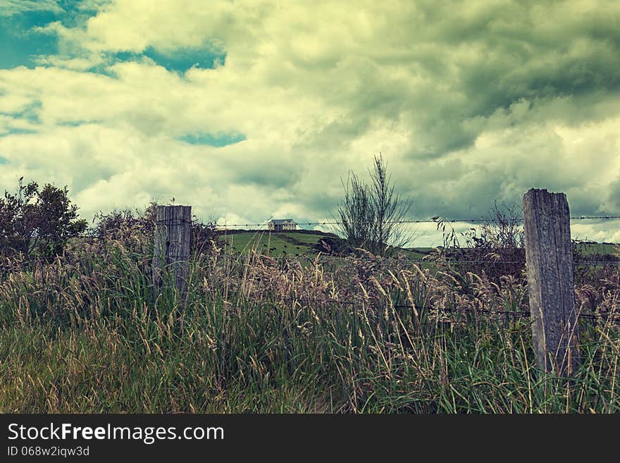 Overgrown and rugged landscape with barbed wire fence and creepy mansion in the distance on the hill. Overgrown and rugged landscape with barbed wire fence and creepy mansion in the distance on the hill.