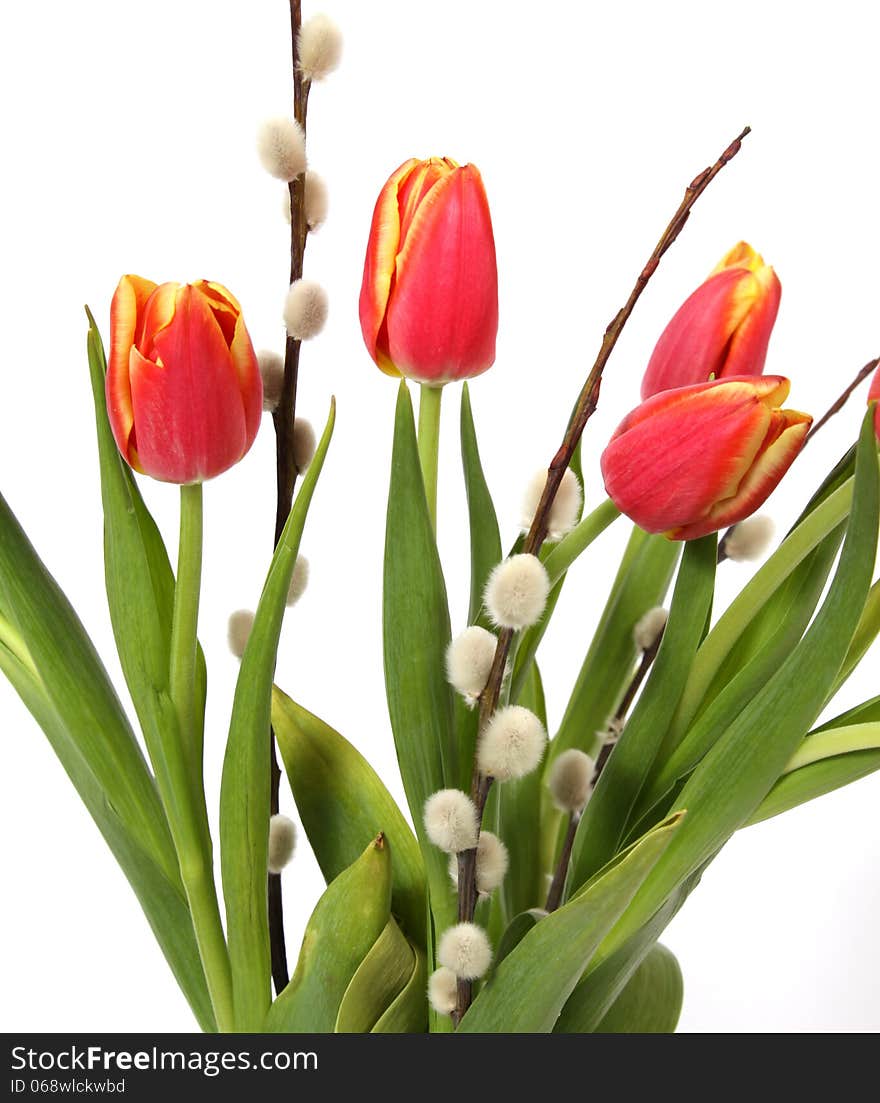 Bouquet of red-yellow tulips with twigs of willow