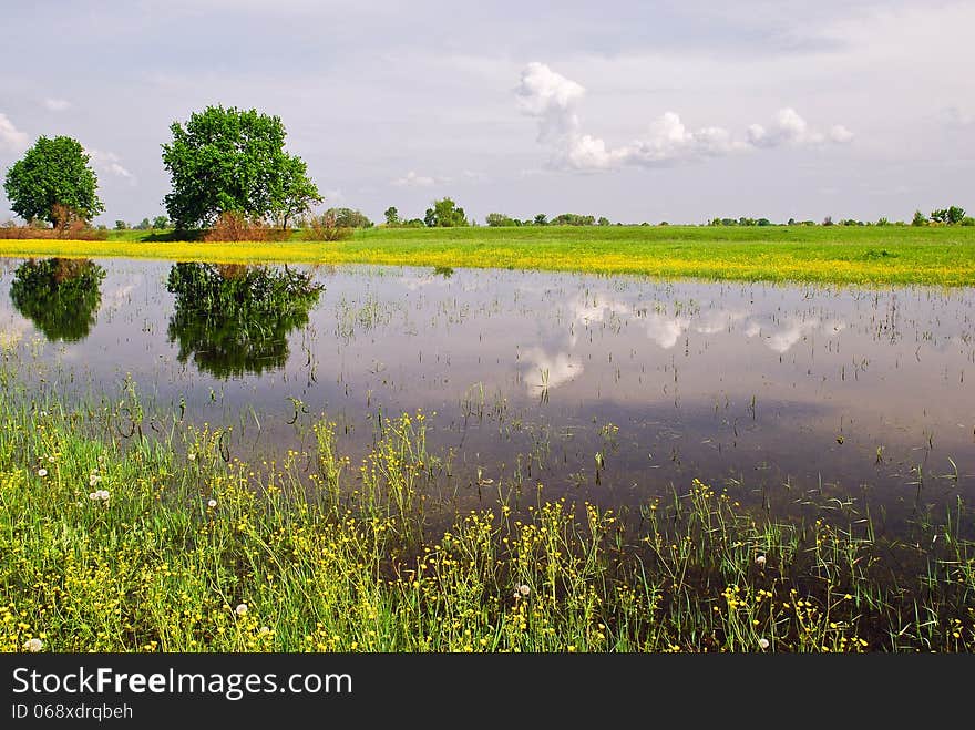 Beautiful spring landscape and water meadow