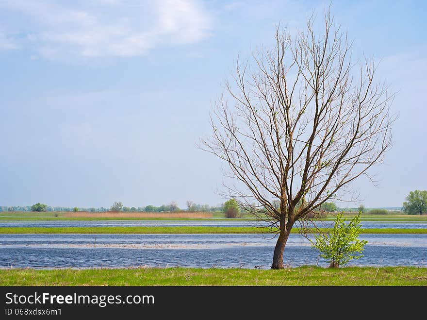 Beautiful spring landscape and water meadow