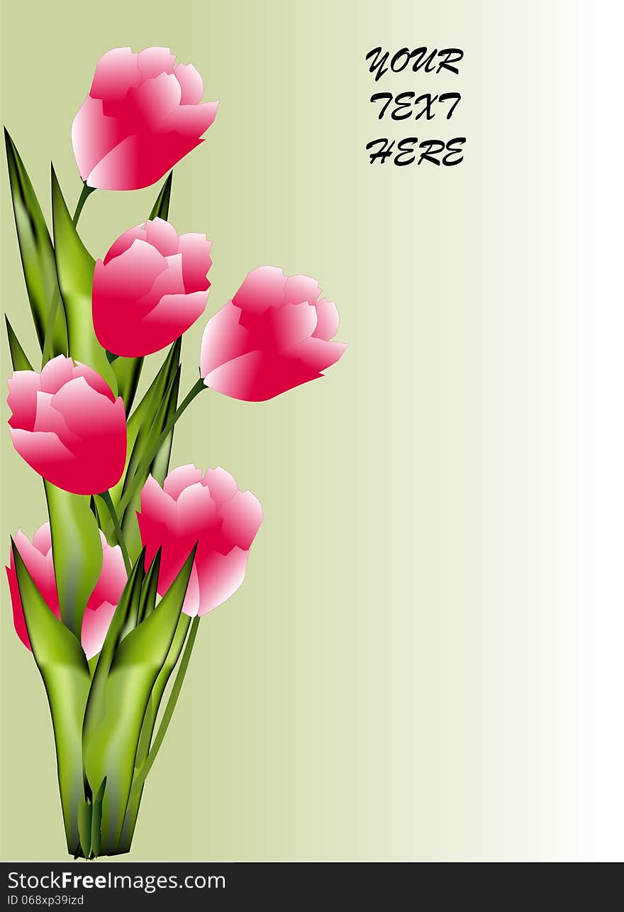 Bunch of pink tulip on shaded green background. Bunch of pink tulip on shaded green background