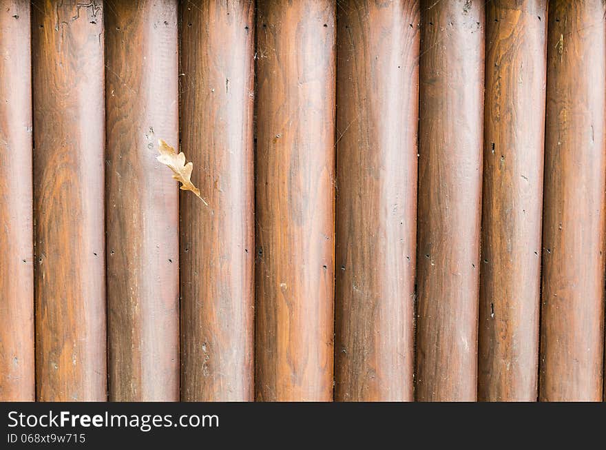 Natural Background wall of wood with leaf on trap