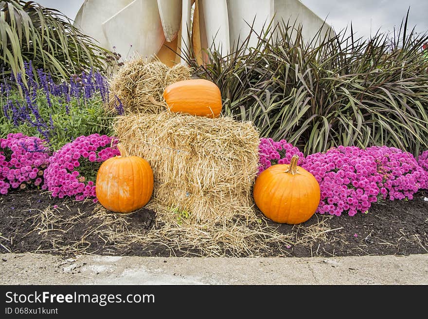 Pumpkins flowers and hay Halloween decoration. Pumpkins flowers and hay Halloween decoration