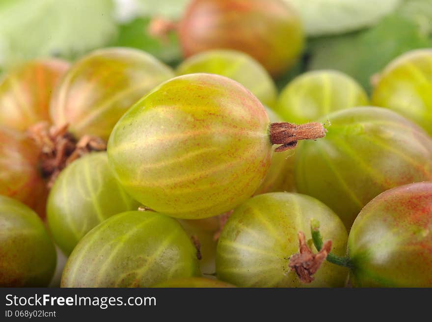 Green gooseberries