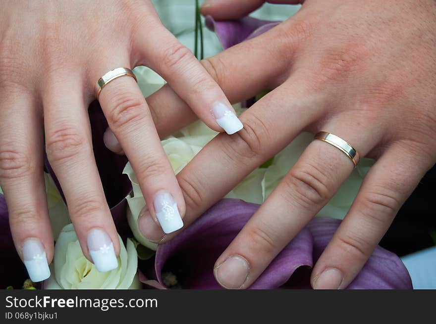 Wedding couple holding their hands with rings. Wedding couple holding their hands with rings.