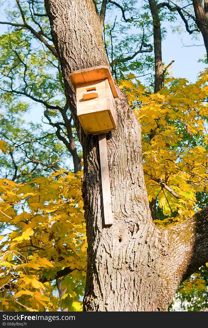 Wooden birdhouse on a tree