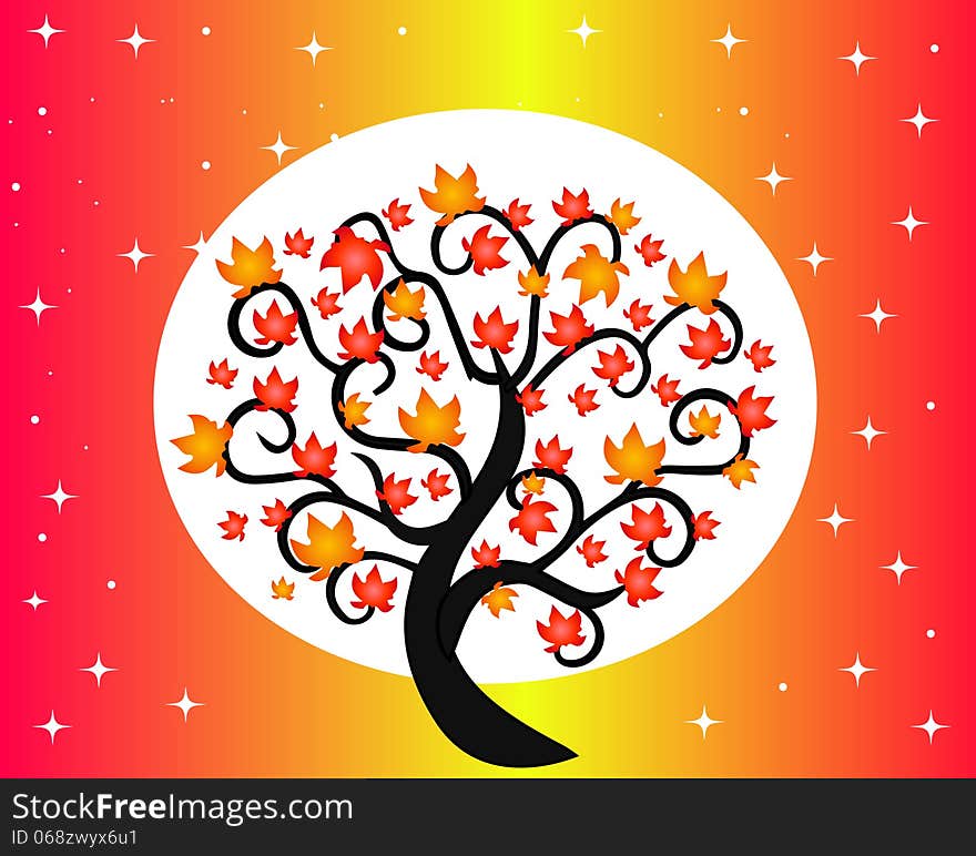 Autumn Tree